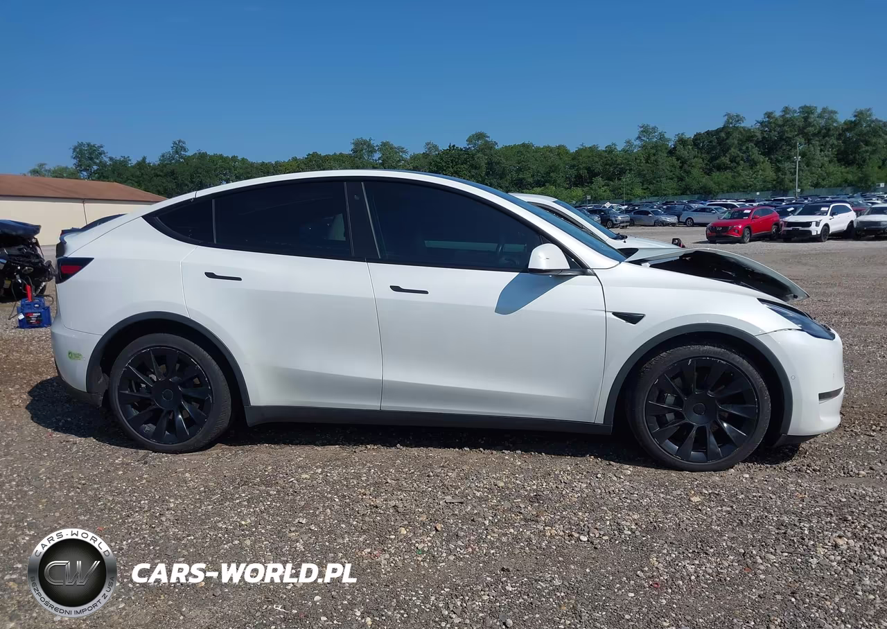 2020 Tesla Model Y Long Range Dual Motor All-Wheel Drive-Performance Dual Motor All-Wheel Drive VIN:5YJYGDEF4LF002746 - 12