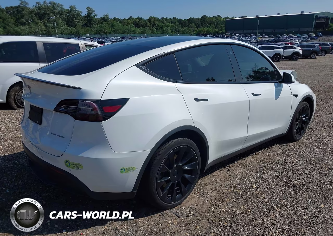 2020 Tesla Model Y Long Range Dual Motor All-Wheel Drive-Performance Dual Motor All-Wheel Drive VIN:5YJYGDEF4LF002746 - 4