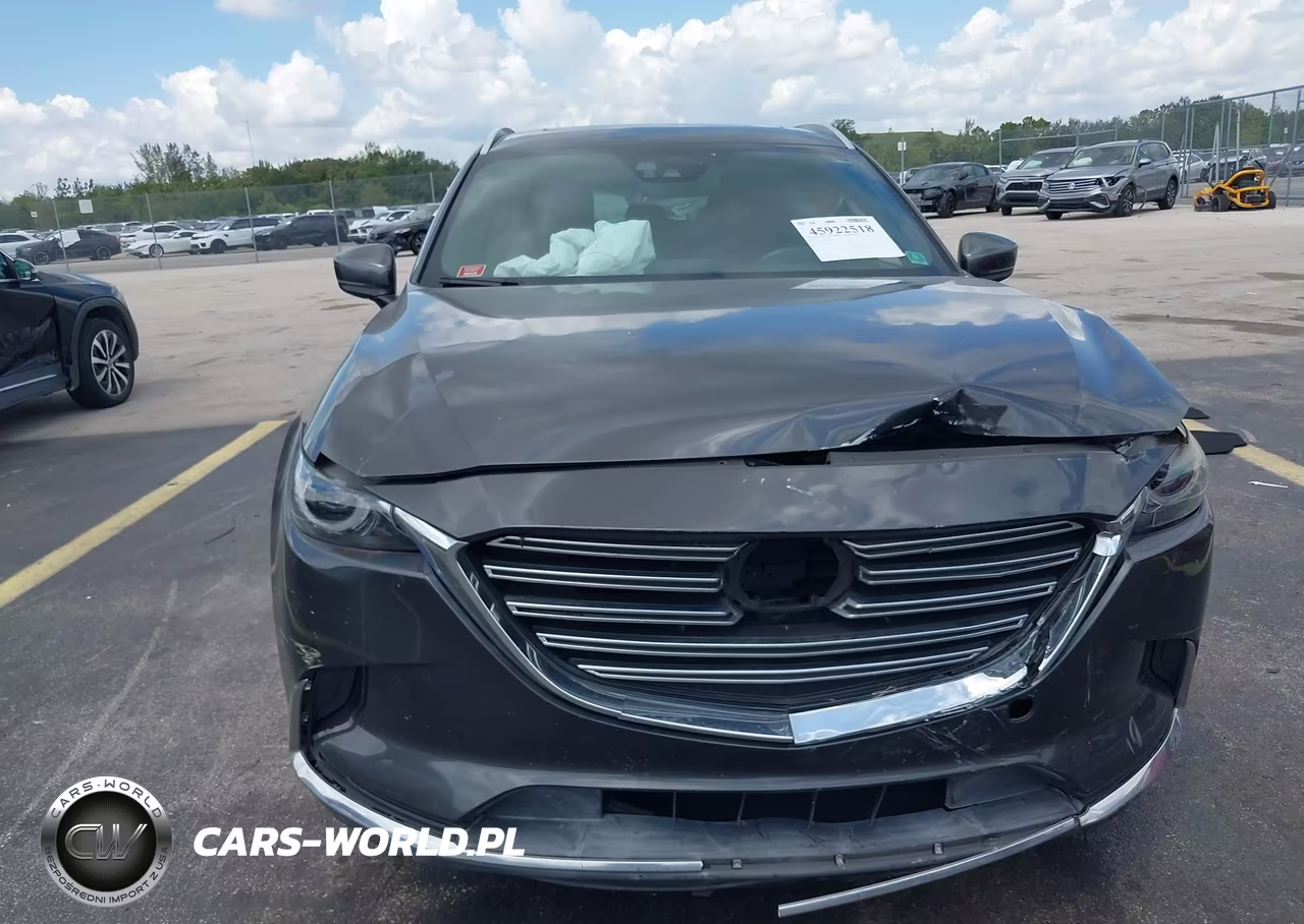 2016 Mazda Cx-9 Signature VIN:JM3TCBEY3G0117703 - 11