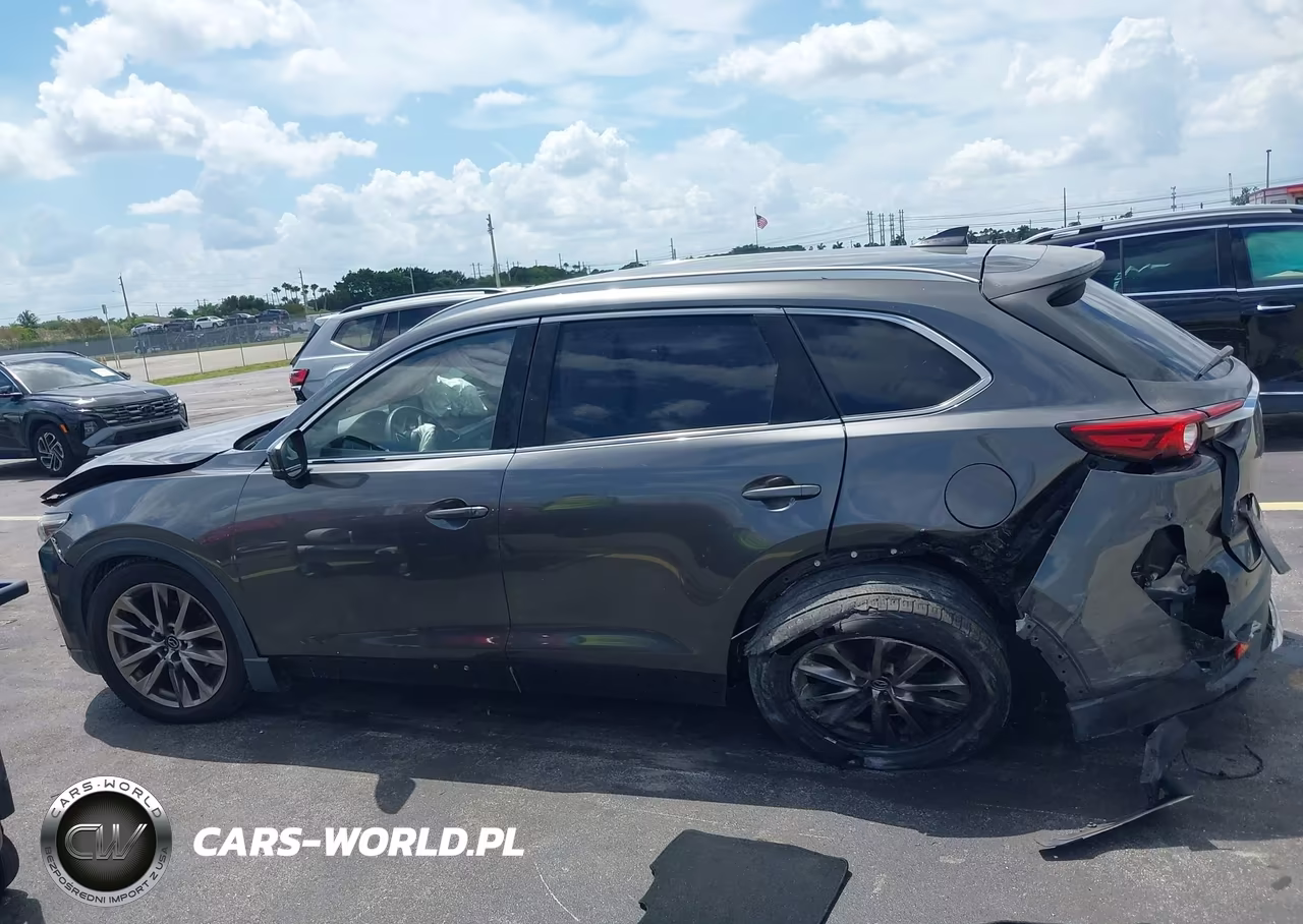 2016 Mazda Cx-9 Signature VIN:JM3TCBEY3G0117703 - 13