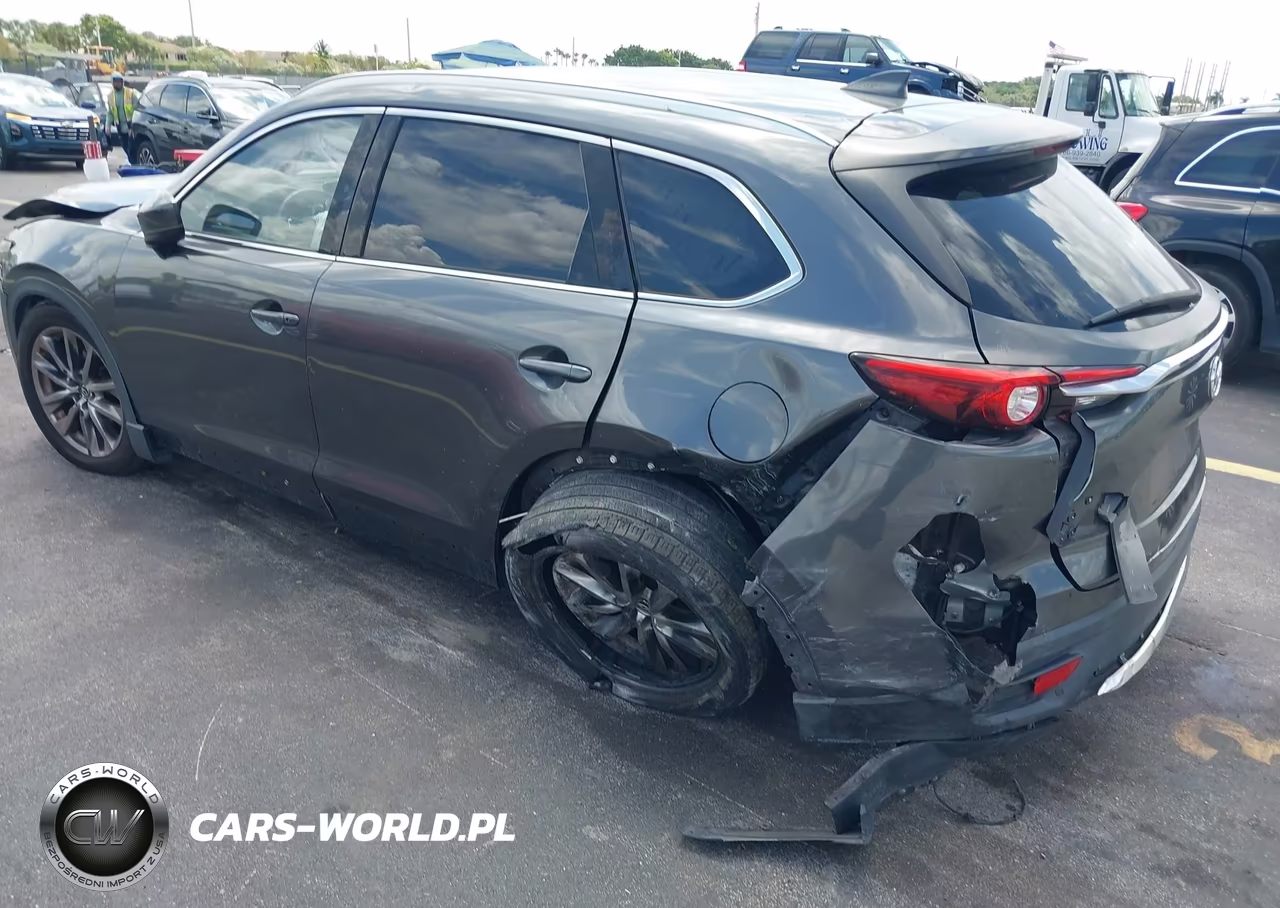 2016 Mazda Cx-9 Signature VIN:JM3TCBEY3G0117703 - 6