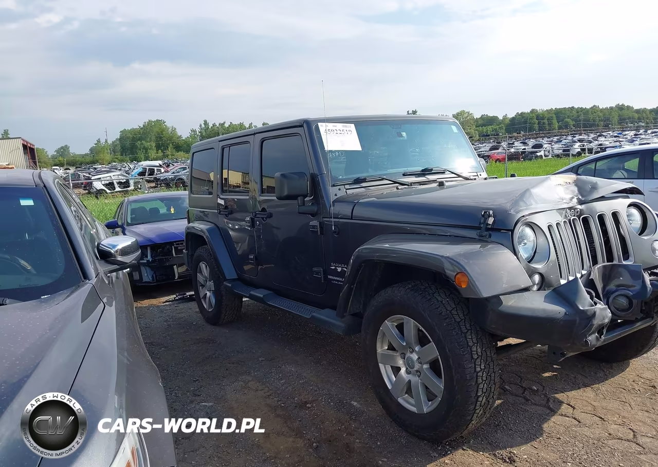 2018 Jeep Wrangler Jk Unlimited Sahara VIN:1C4BJWEG0JL844795 - 13