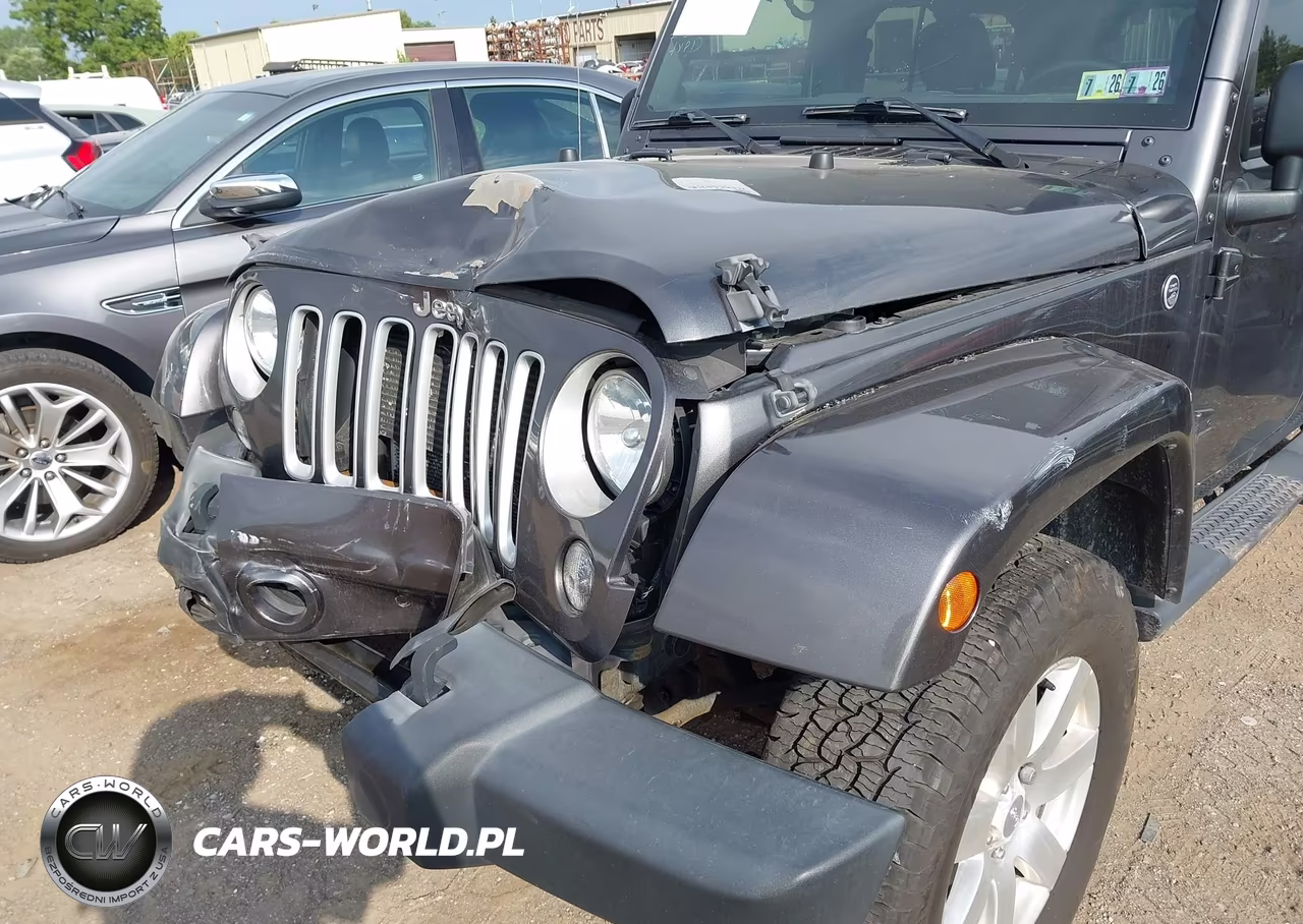 2018 Jeep Wrangler Jk Unlimited Sahara VIN:1C4BJWEG0JL844795 - 6