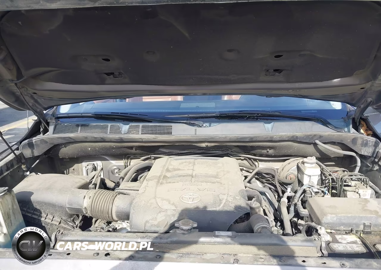2019 Toyota Tundra 1794 5.7L V8 VIN:5TFAY5F17KX861941 - 10