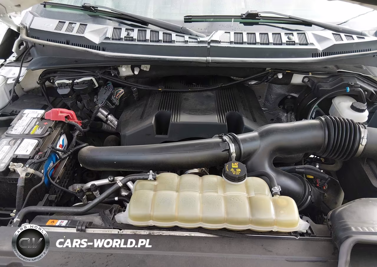 2019 Ford F-150 Lariat VIN:1FTFW1E48KKE28769 - 10