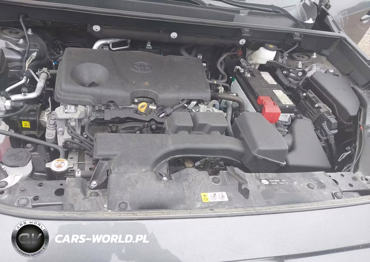 2024 Toyota Rav4 Xle VIN:2T3P1RFV6RC441810 - 10