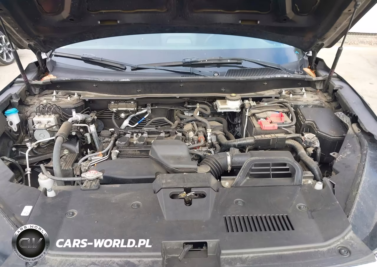 2024 Honda Cr-V Ex 2Wd VIN:2HKRS3H42RH333259 - 10