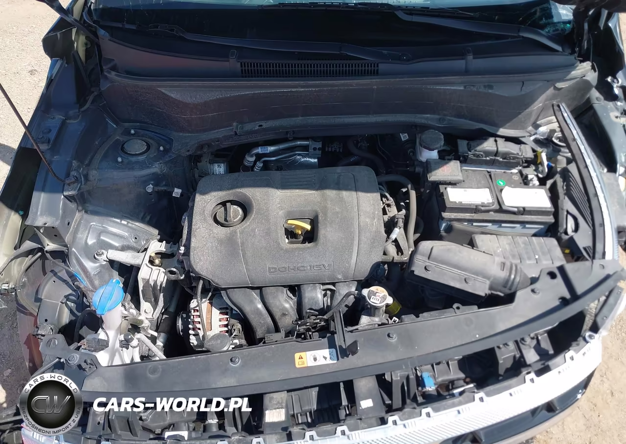 2024 Kia Seltos S VIN:KNDEUCAA8R7499394 - 10