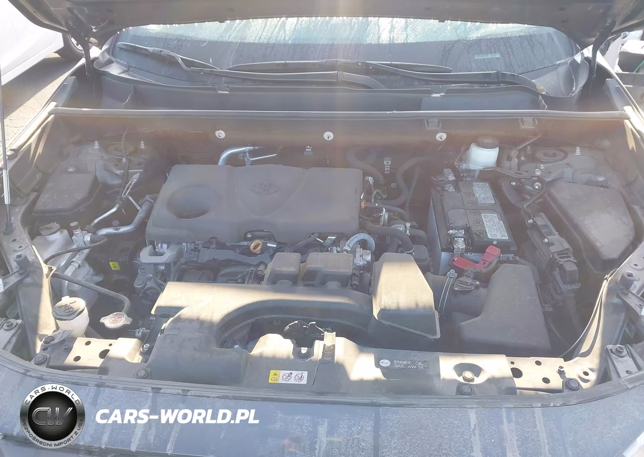 2023 Toyota Rav4 Xle VIN:2T3P1RFV3PW344916 - 10