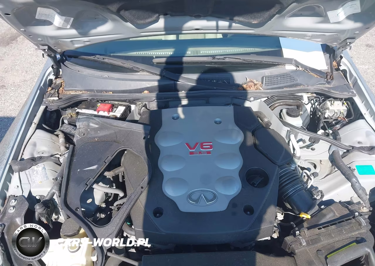 2004 Infiniti G35 VIN:JNKCV54E54M817771 - 10