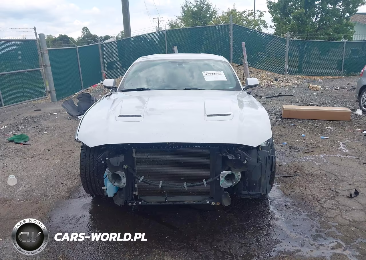 2019 Ford Mustang Gt Premium VIN:1FA6P8CF9K5150379 - 13