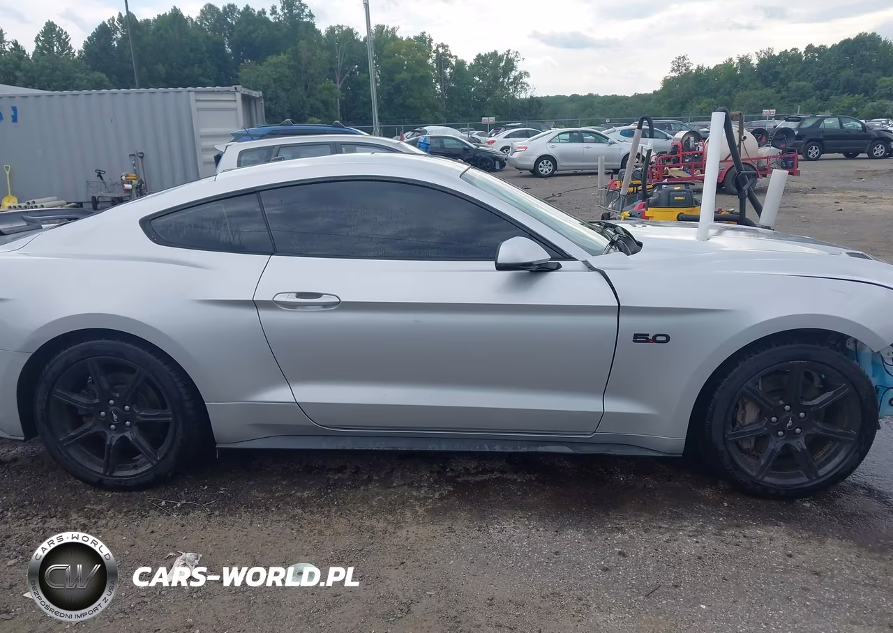 2019 Ford Mustang Gt Premium VIN:1FA6P8CF9K5150379 - 14