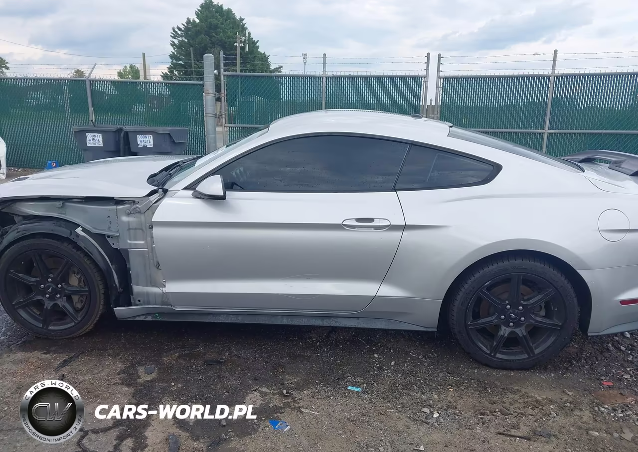 2019 Ford Mustang Gt Premium VIN:1FA6P8CF9K5150379 - 15