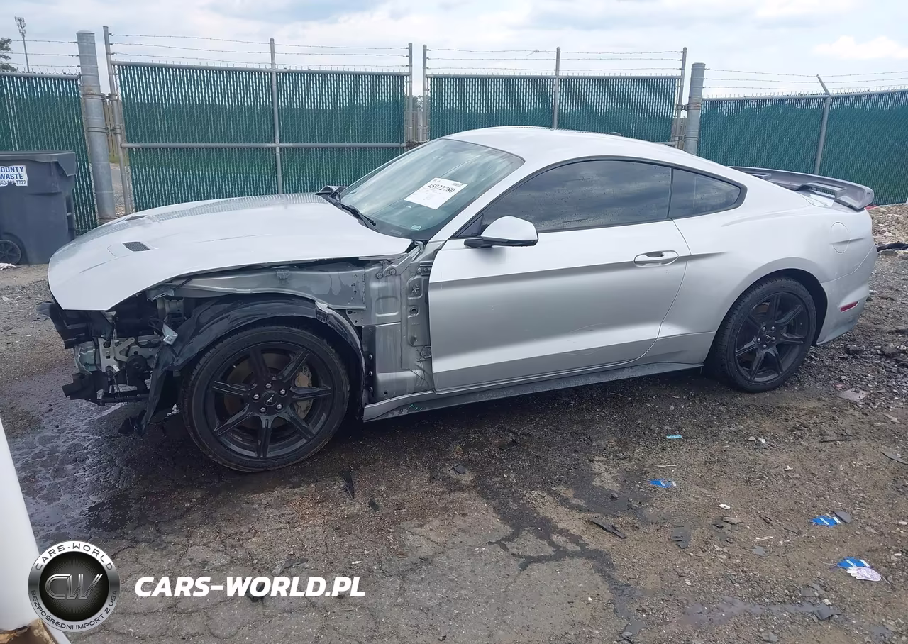 2019 Ford Mustang Gt Premium VIN:1FA6P8CF9K5150379 - 2