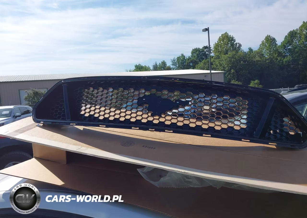2019 Ford Mustang Gt Premium VIN:1FA6P8CF9K5150379 - 20