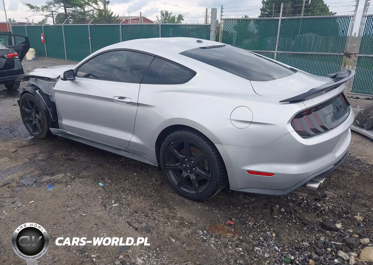 2019 Ford Mustang Gt Premium VIN:1FA6P8CF9K5150379 - 3
