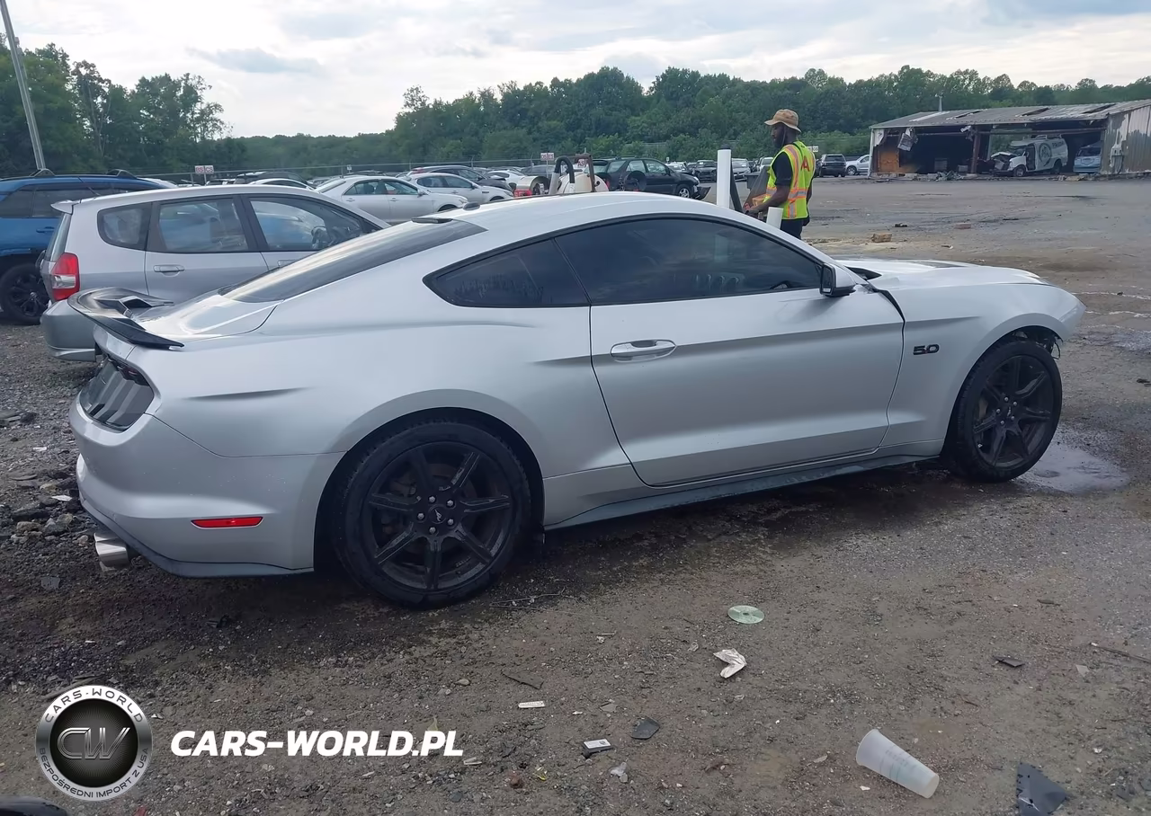 2019 Ford Mustang Gt Premium VIN:1FA6P8CF9K5150379 - 4