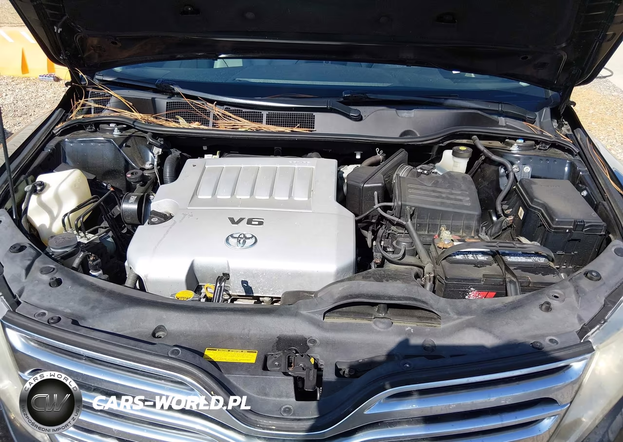 2009 Toyota Venza Base V6 VIN:4T3ZK11A59U003208 - 10