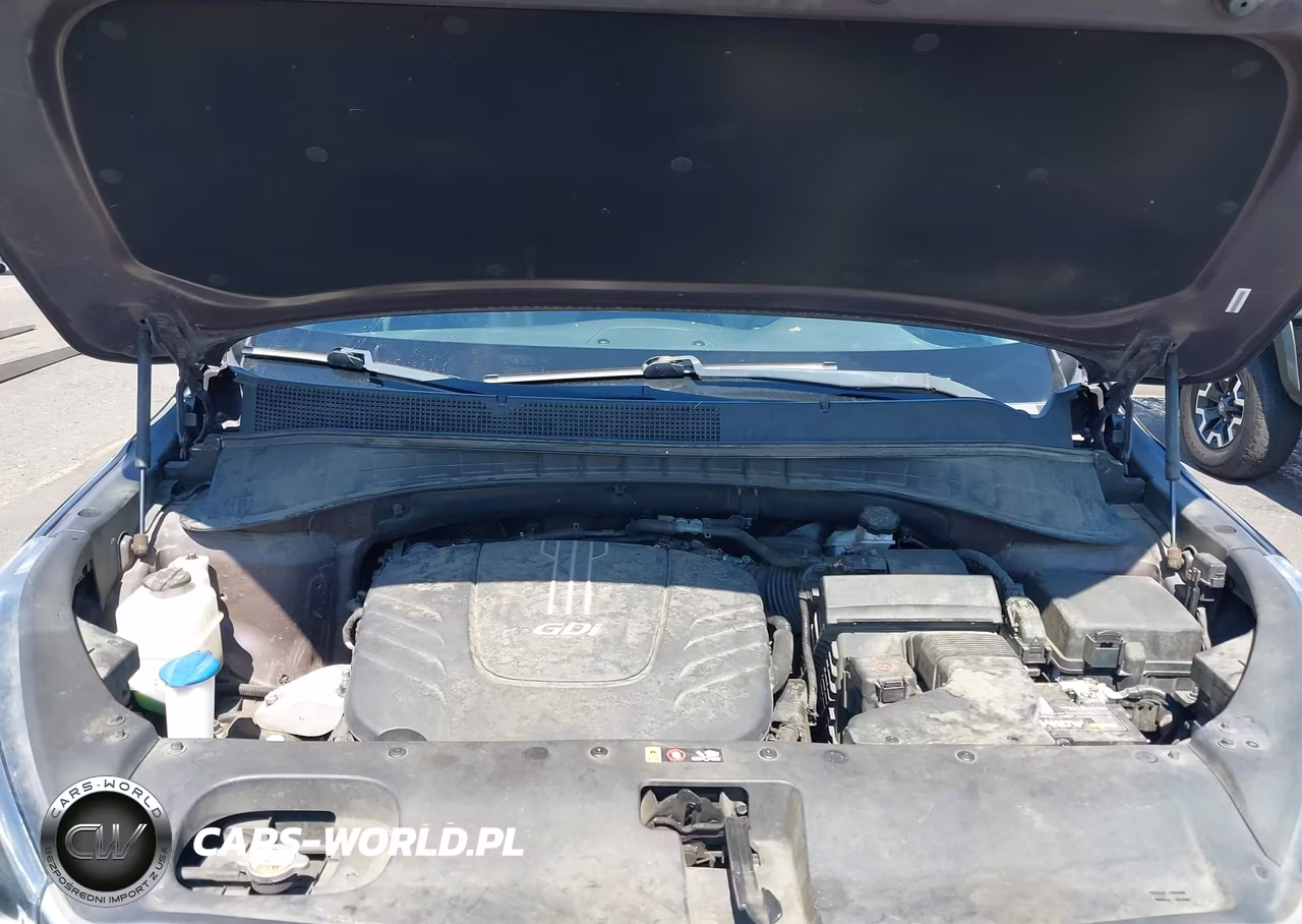 2016 Kia Sorento 3.3L Ex VIN:5XYPHDA59GG001970 - 10