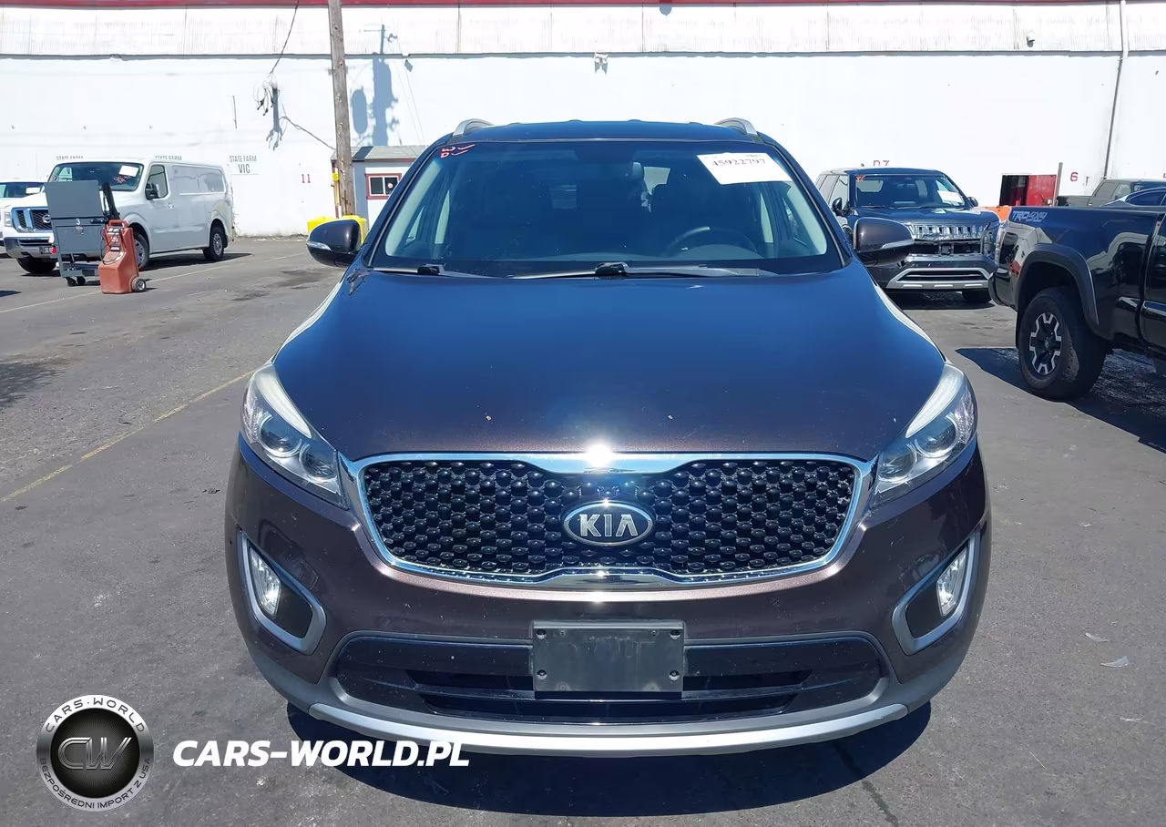 2016 Kia Sorento 3.3L Ex VIN:5XYPHDA59GG001970 - 13