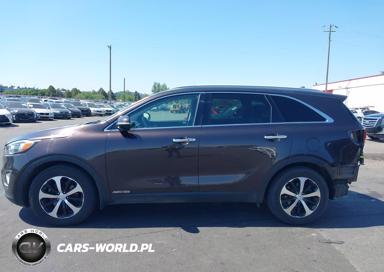 2016 Kia Sorento 3.3L Ex VIN:5XYPHDA59GG001970 - 15