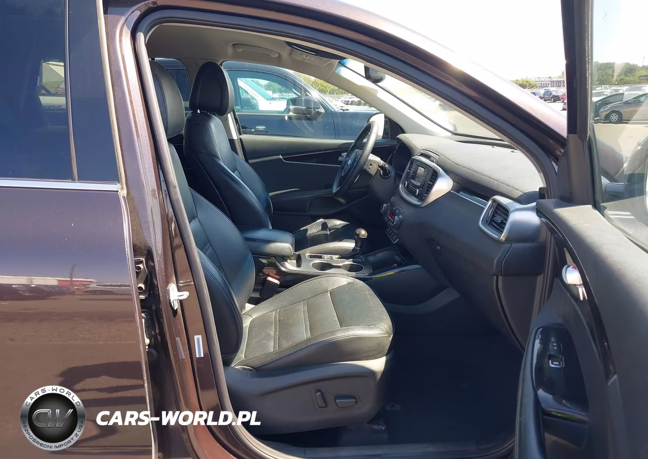 2016 Kia Sorento 3.3L Ex VIN:5XYPHDA59GG001970 - 5