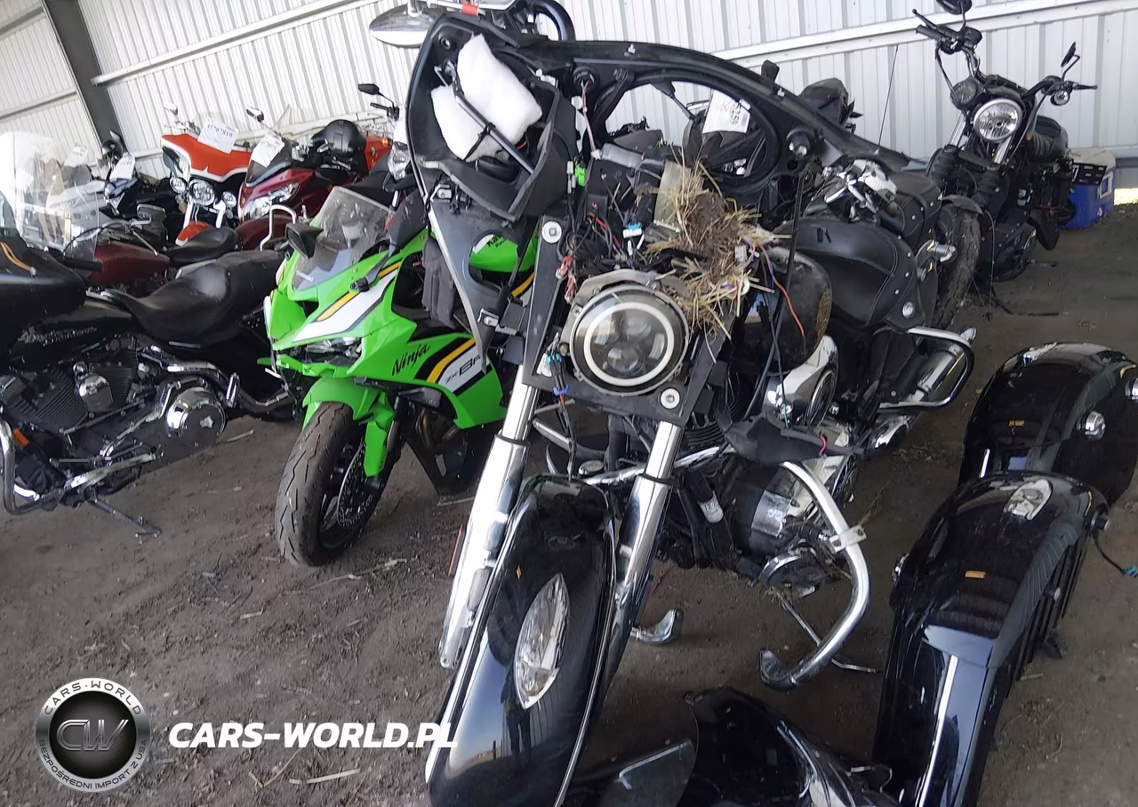 2015 Indian Motorcycle Co. Chieftain VIN:56KTCAAA7F3324517 - 5