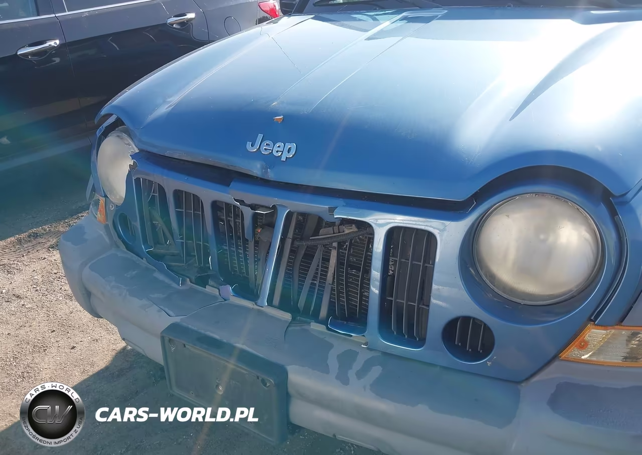 2006 Jeep Liberty Sport VIN:1J4GL48K46W107510 - 6