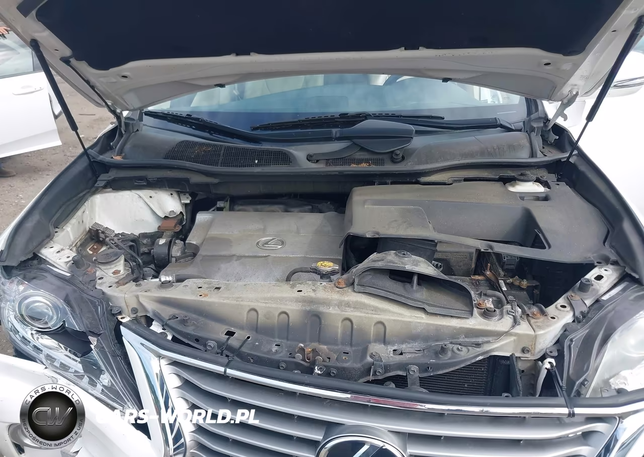 2013 Lexus Rx 350 VIN:2T2BK1BA9DC215446 - 10