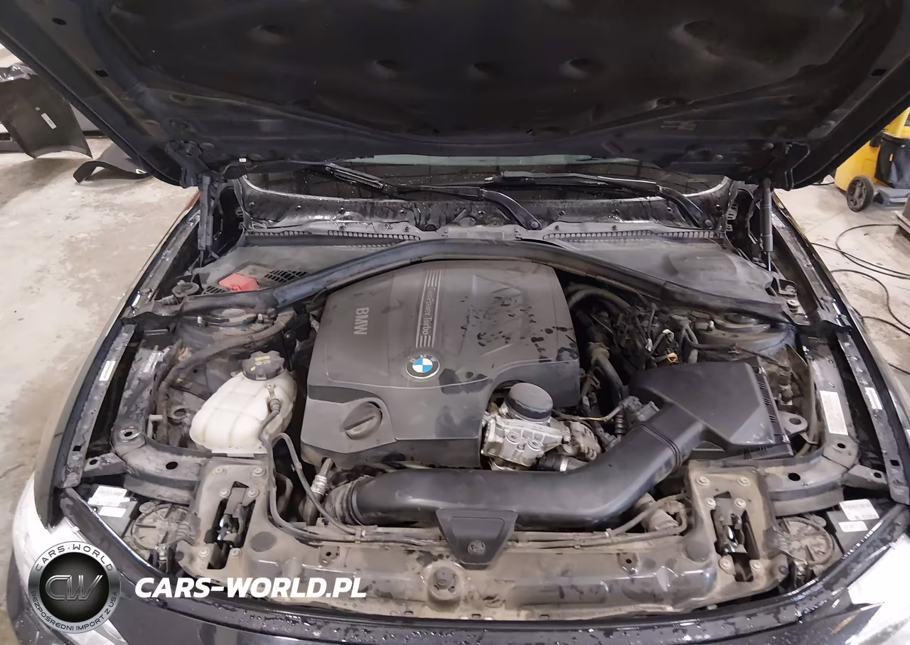 2014 BMW 435I xDrive VIN:WBA3R5C59EK189120 - 10