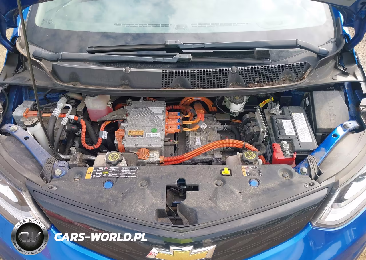 2017 Chevrolet Bolt Ev Premier VIN:1G1FX6S05H4165772 - 10