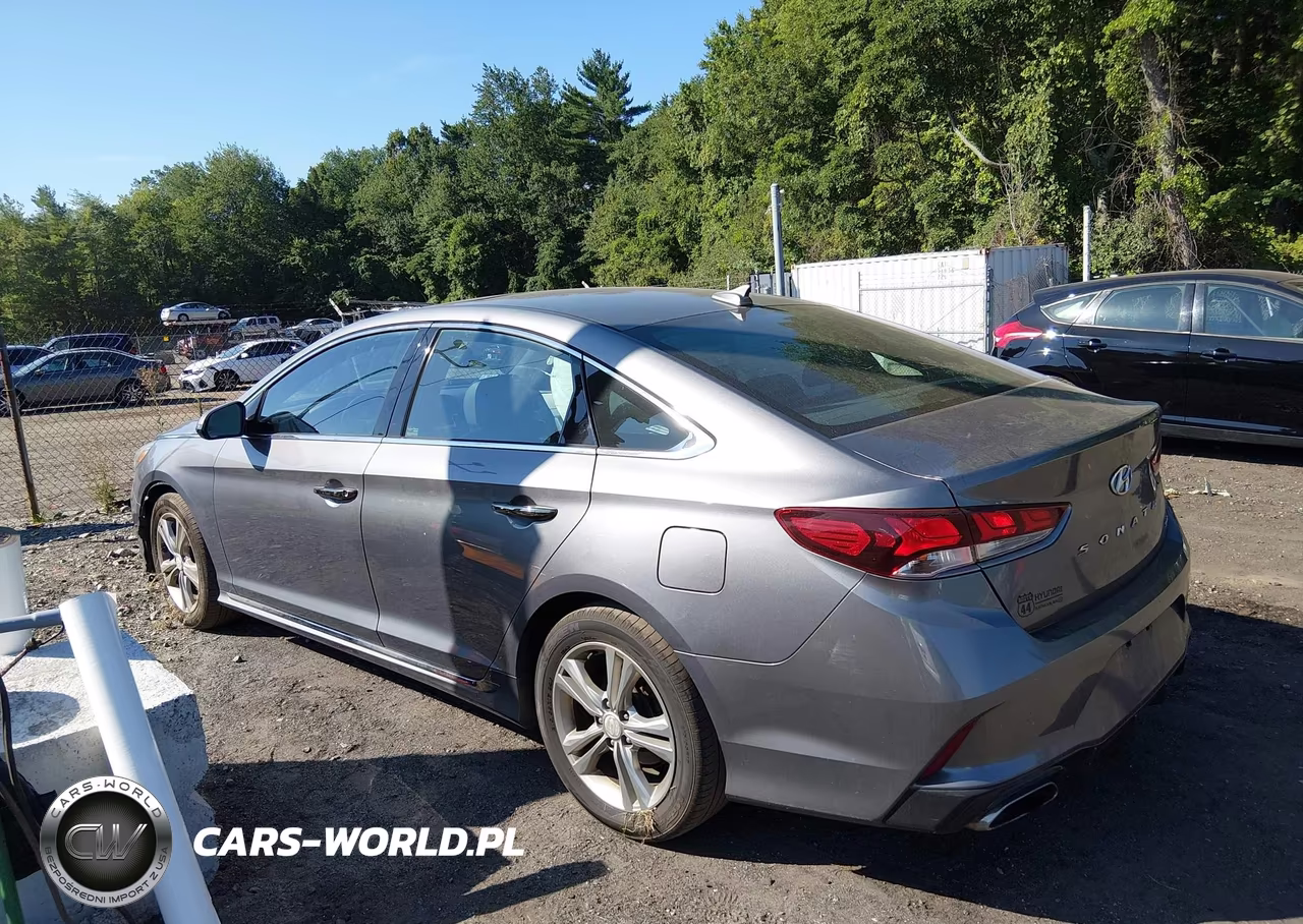 2019 Hyundai Sonata Sport VIN:5NPE34AFXKH734013 - 14