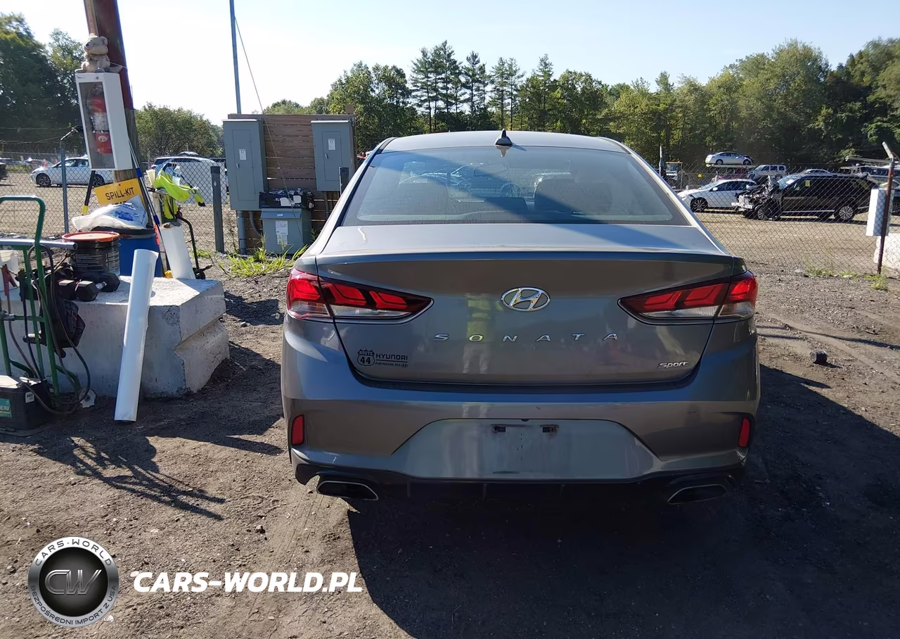 2019 Hyundai Sonata Sport VIN:5NPE34AFXKH734013 - 16
