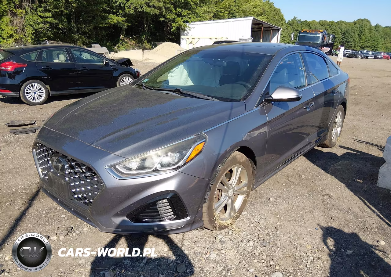 2019 Hyundai Sonata Sport VIN:5NPE34AFXKH734013 - 2
