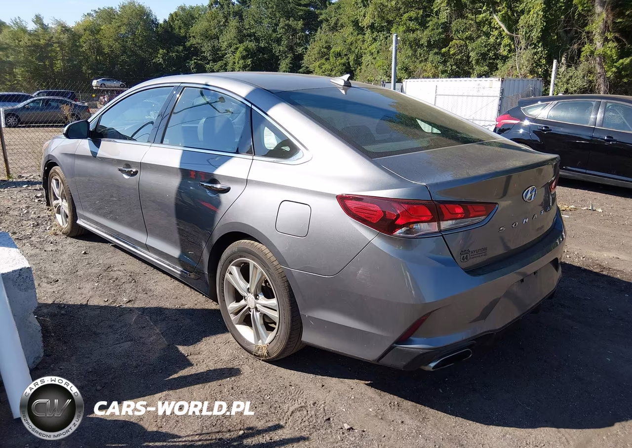2019 Hyundai Sonata Sport VIN:5NPE34AFXKH734013 - 3