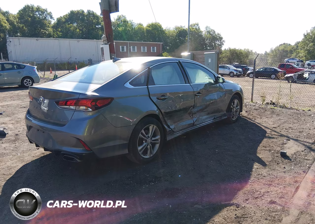 2019 Hyundai Sonata Sport VIN:5NPE34AFXKH734013 - 4