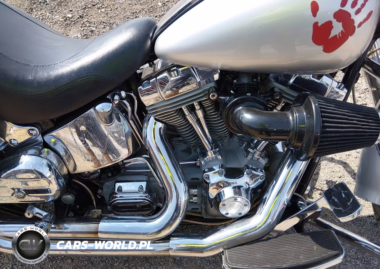 2005 Harley-Davidson Flstfi VIN:1HD1BXD595Y070231 - 8
