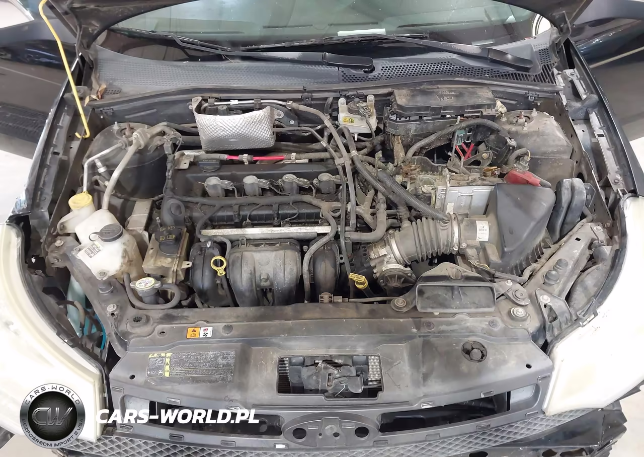 2010 Ford Focus Sel VIN:1FAHP3HN9AW122845 - 10