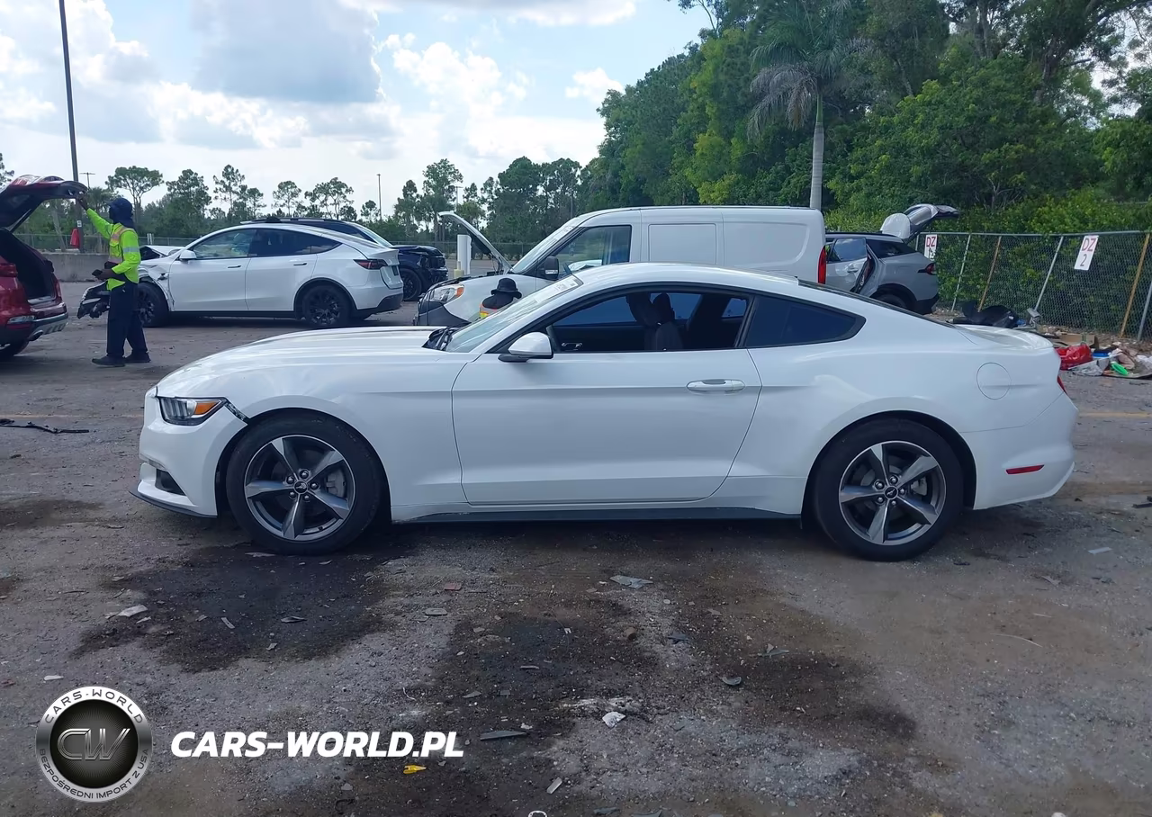 2016 Ford Mustang V6 VIN:1FA6P8AM4G5277310 - 14