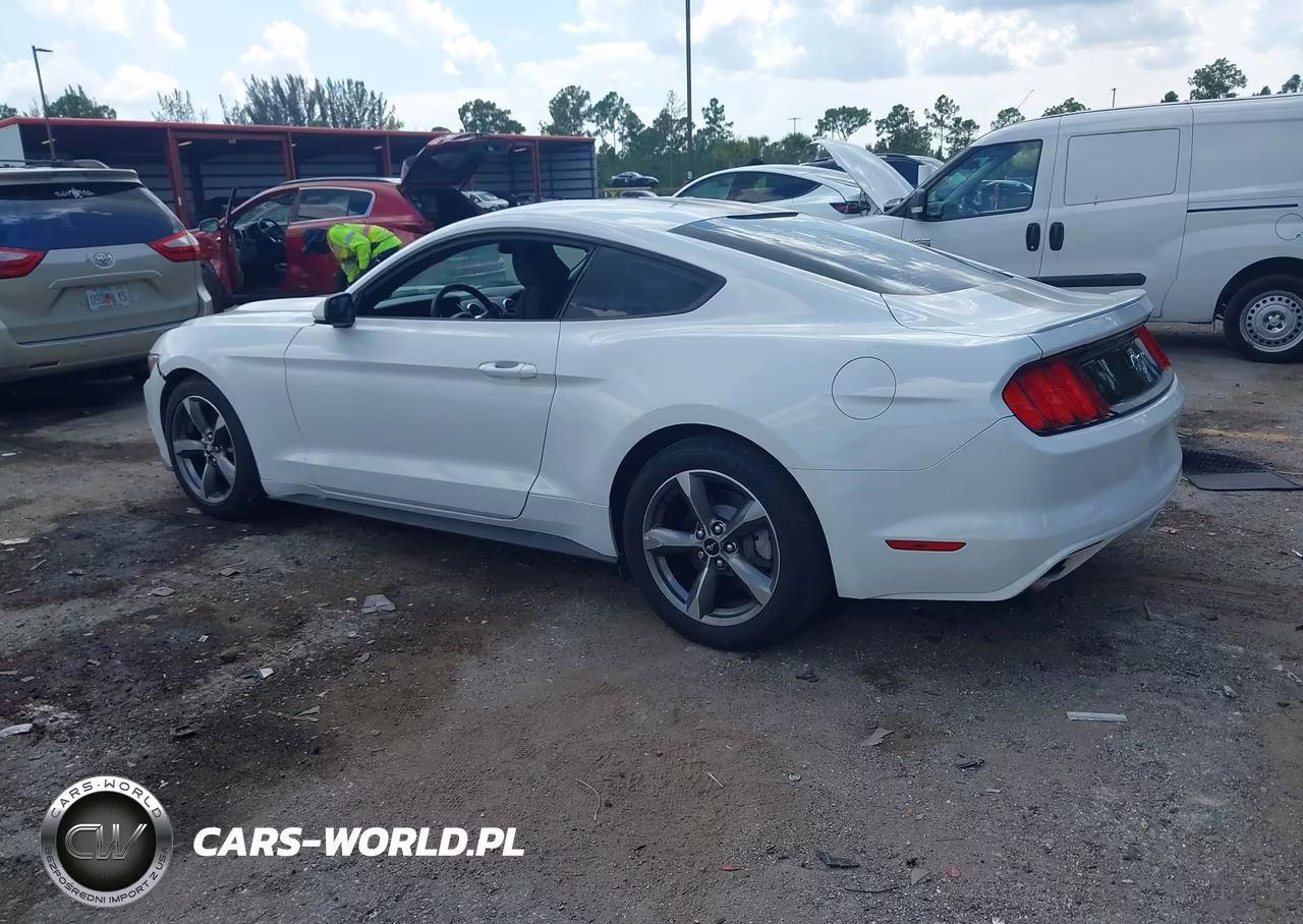 2016 Ford Mustang V6 VIN:1FA6P8AM4G5277310 - 3