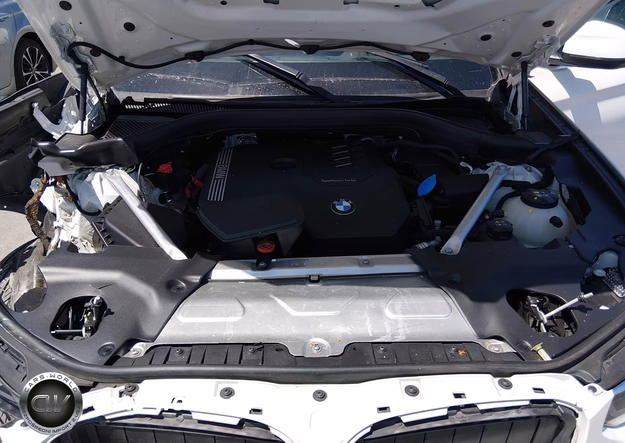 2023 BMW X3 xDrive30I VIN:5UX53DP01P9S75603 - 10