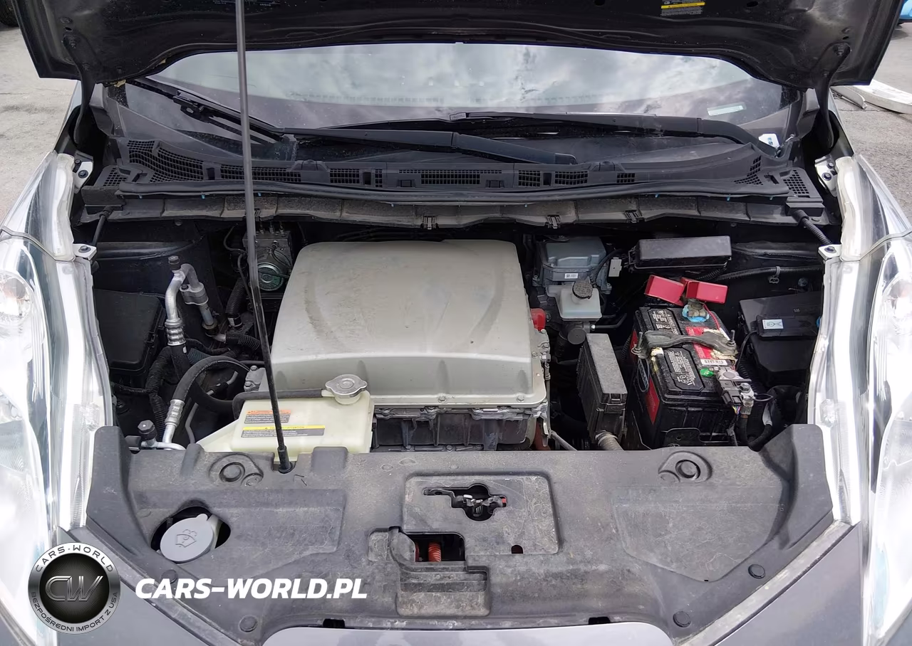 2017 Nissan Leaf S VIN:1N4BZ0CP1HC300699 - 10