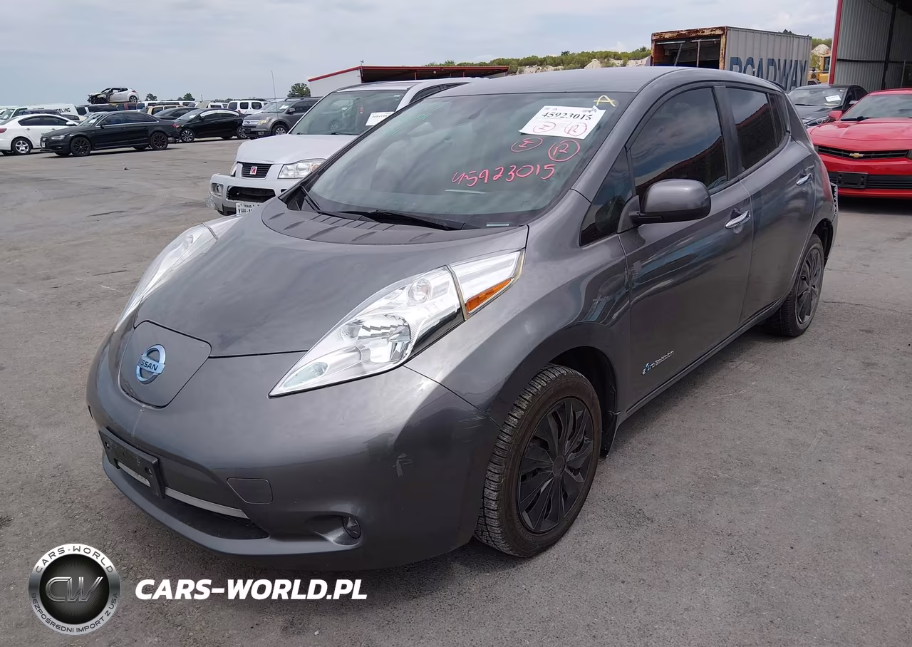 2017 Nissan Leaf S VIN:1N4BZ0CP1HC300699 - 2