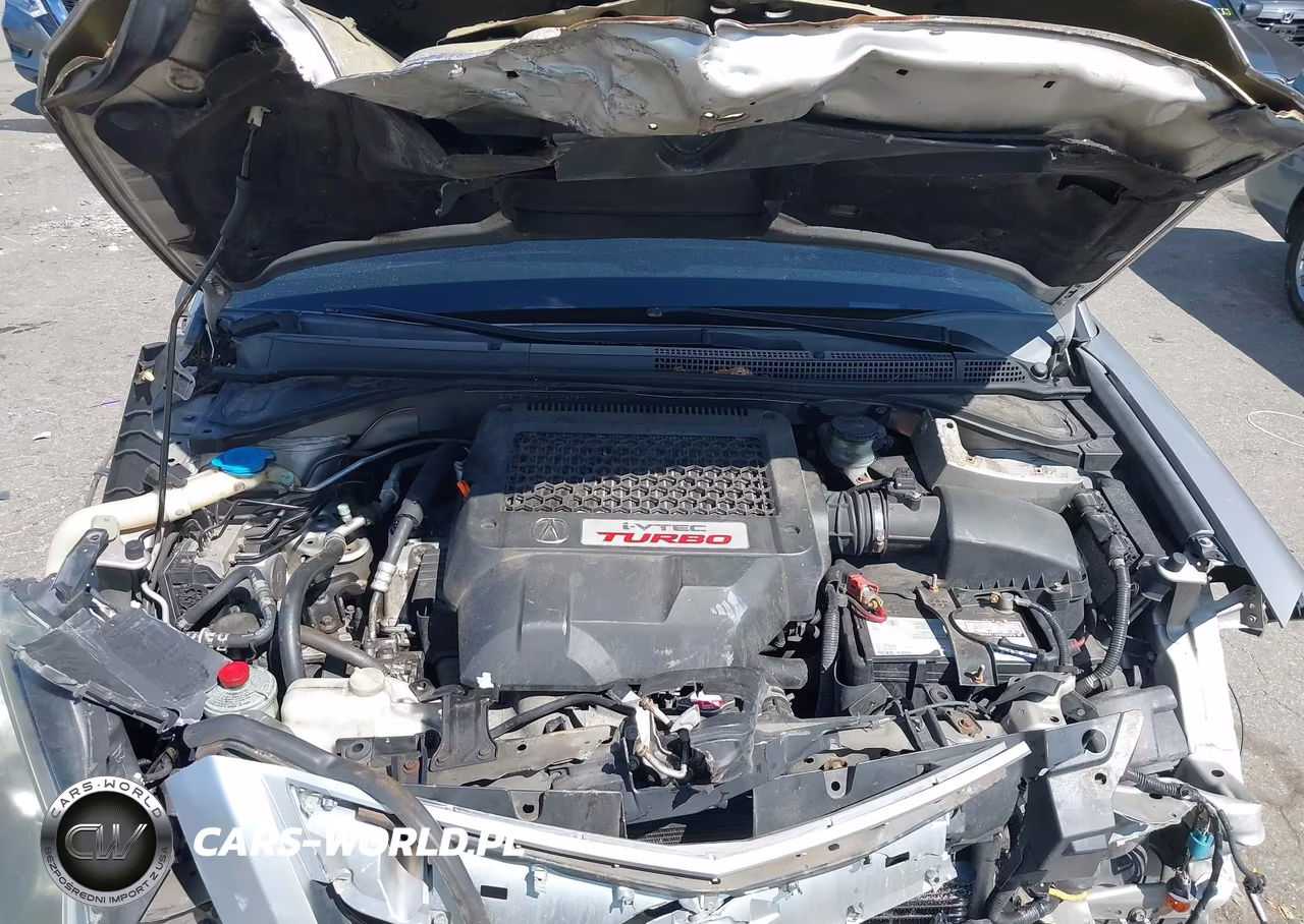 2010 Acura Rdx VIN:5J8TB1H5XAA003787 - 10