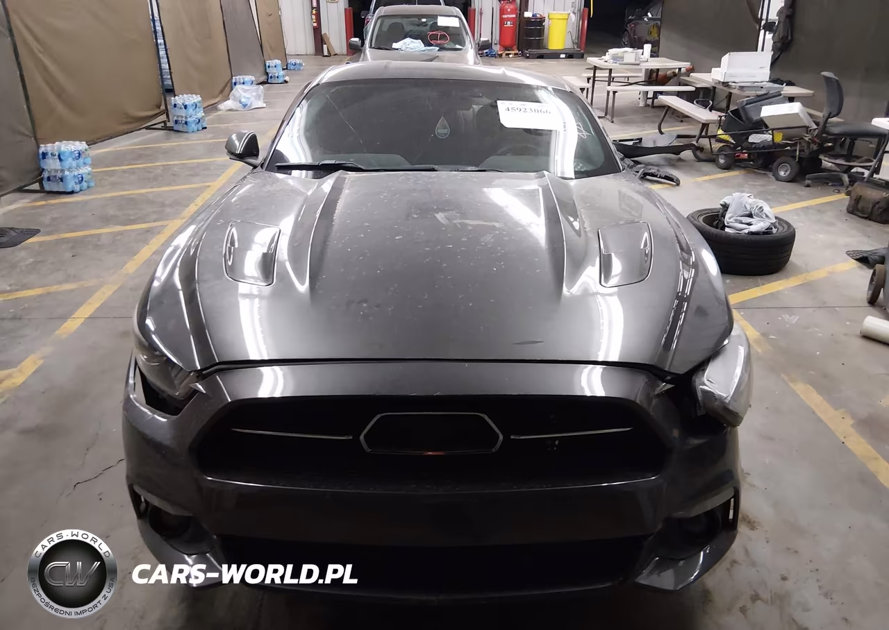 2015 Ford Mustang Gt Premium VIN:1FA6P8CF1F5405080 - 12