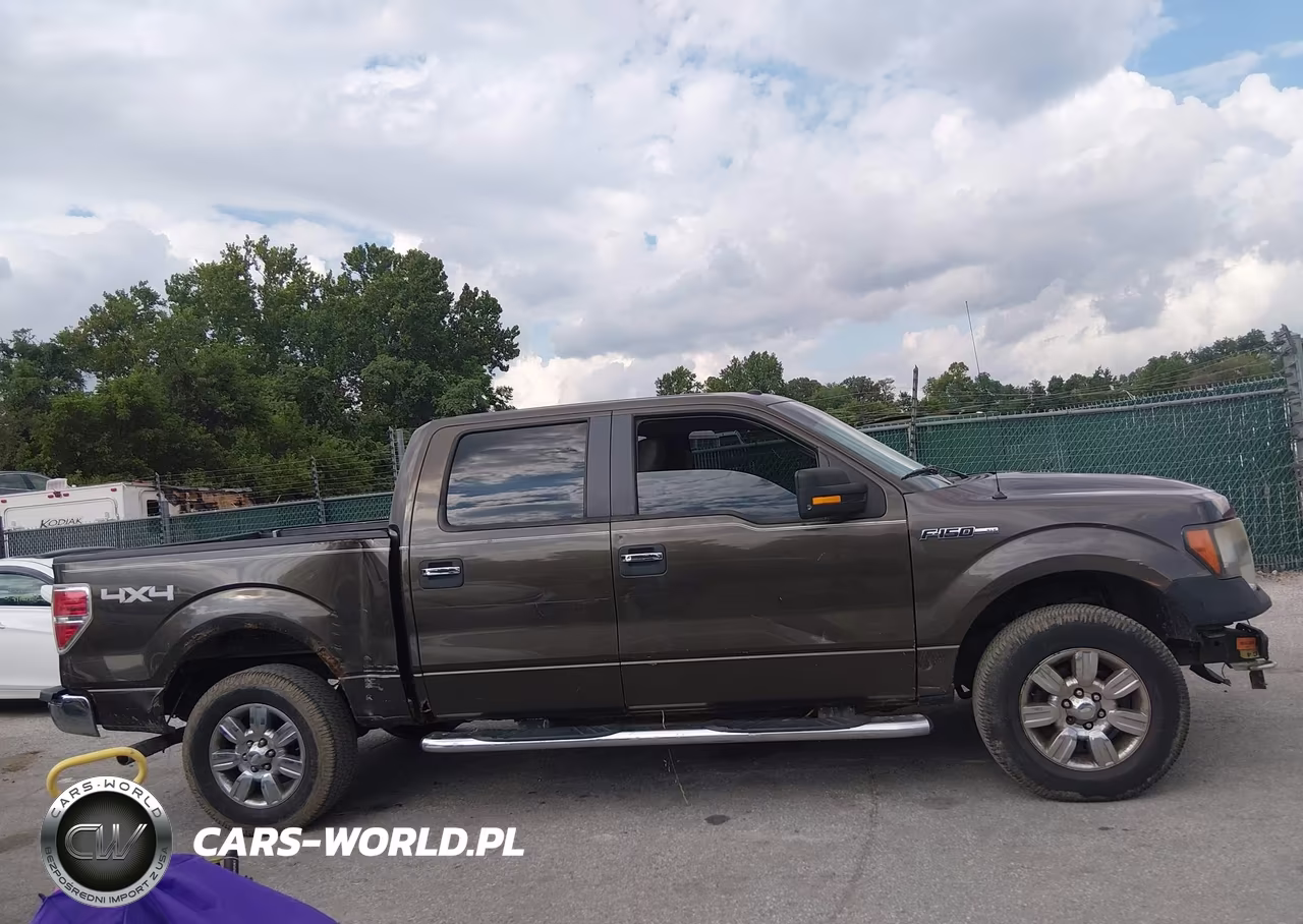 2009 Ford F-150 Fx4-King Ranch-Lariat-Platinum-Xl-Xlt VIN:1FTPW14V69KC26425 - 14