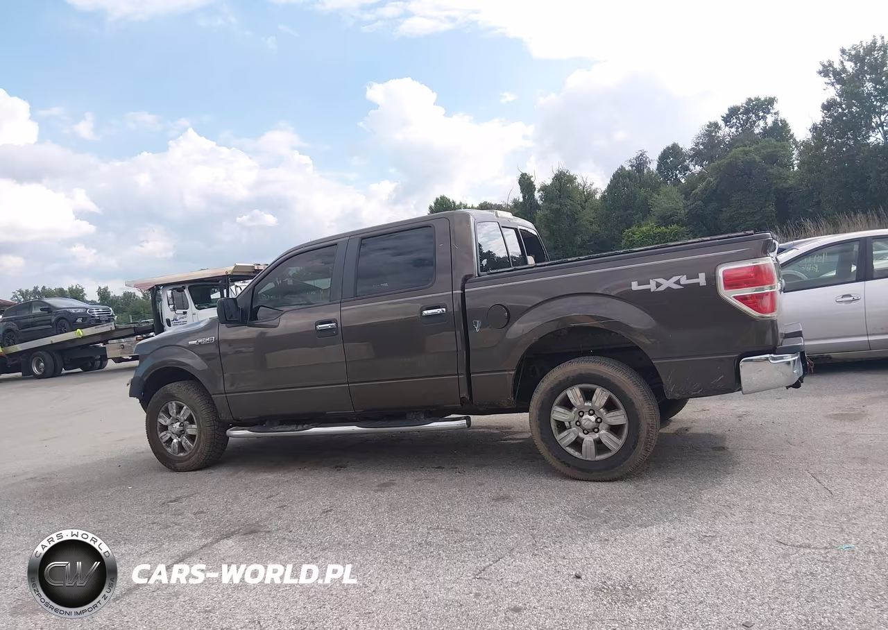 2009 Ford F-150 Fx4-King Ranch-Lariat-Platinum-Xl-Xlt VIN:1FTPW14V69KC26425 - 15