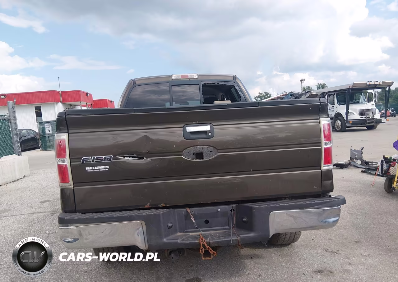 2009 Ford F-150 Fx4-King Ranch-Lariat-Platinum-Xl-Xlt VIN:1FTPW14V69KC26425 - 17