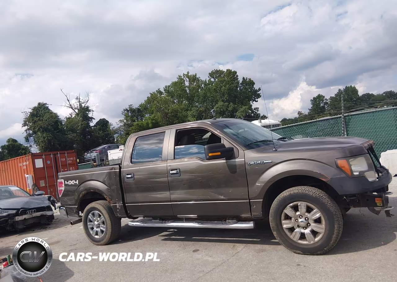 2009 Ford F-150 Fx4-King Ranch-Lariat-Platinum-Xl-Xlt VIN:1FTPW14V69KC26425 - 18