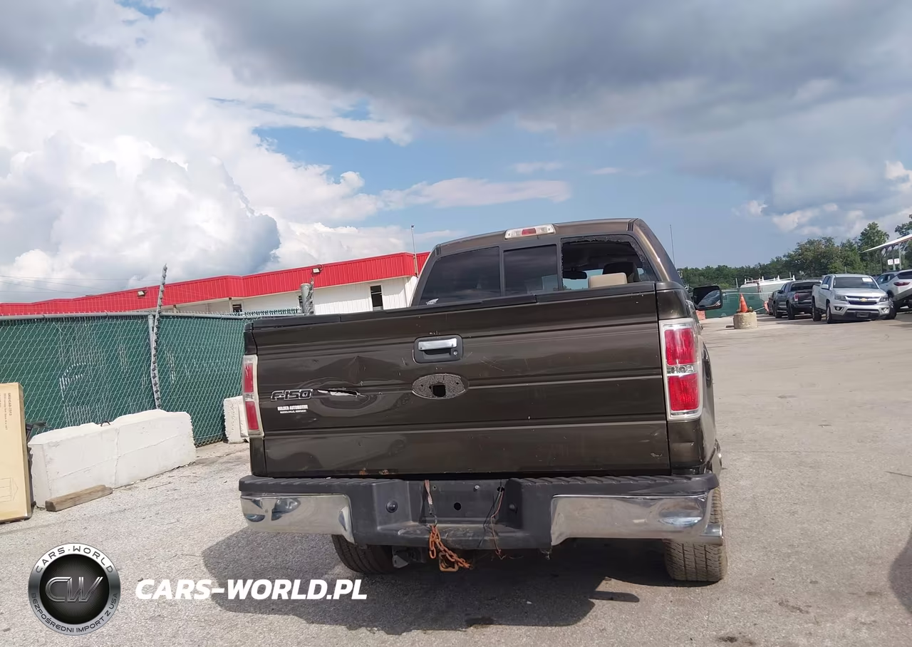 2009 Ford F-150 Fx4-King Ranch-Lariat-Platinum-Xl-Xlt VIN:1FTPW14V69KC26425 - 19